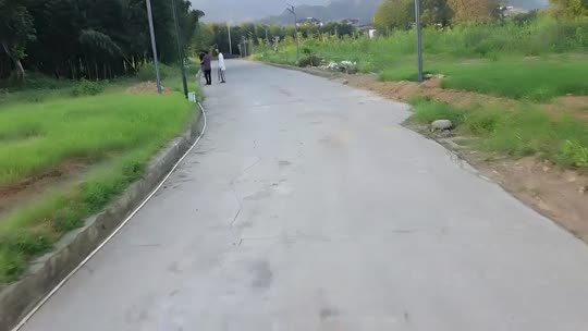 欢迎来到我的直播间