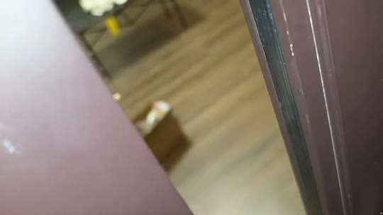 欢迎来到我的直播间