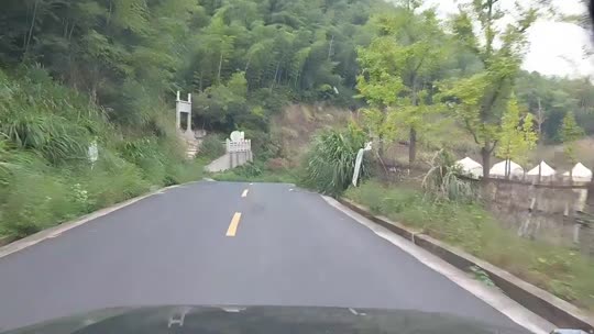 露营🏕️