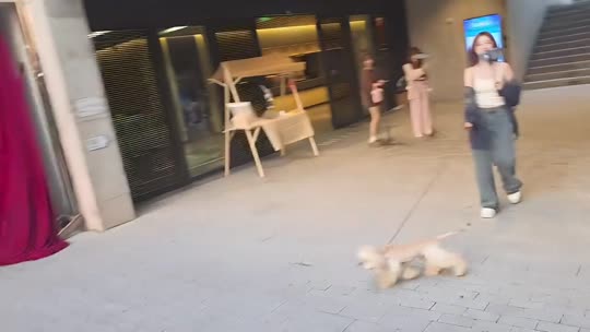 已集齐4只鲲