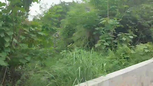 欢迎来到我的直播间