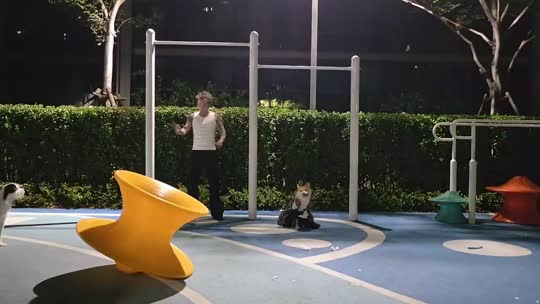 日常直播