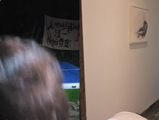 今日流水的任务2万