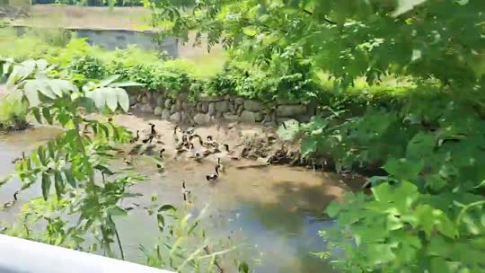童话小镇