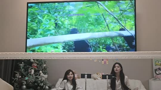 挑战陪童哥72小时