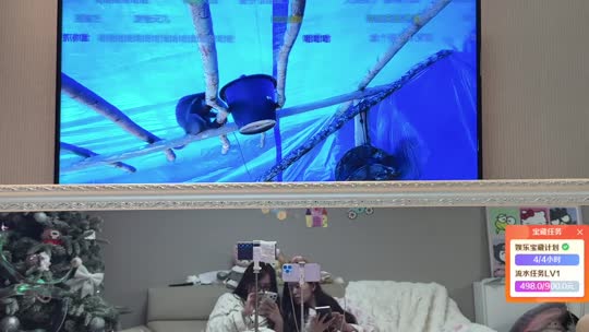 挑战陪童哥和老大72小时