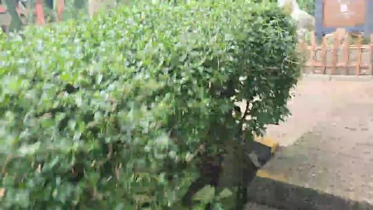 涠洲岛