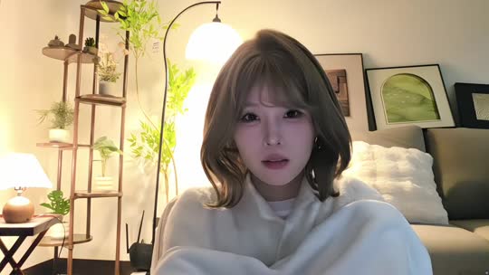 陈朝朝小镇日记