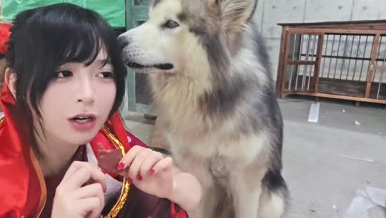童话小镇