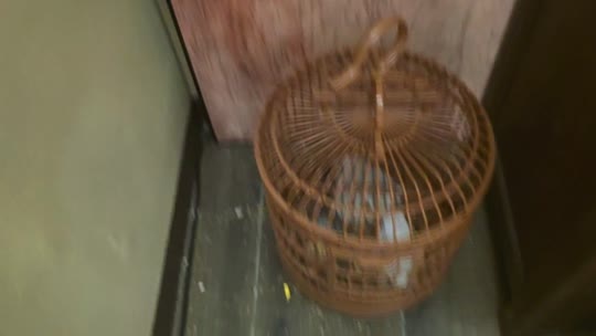 日常