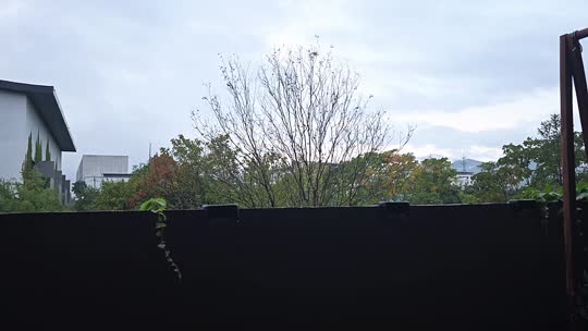 日常