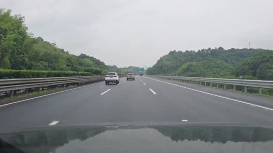 798团播