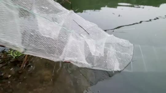恭喜陌白哥荣升帝皇