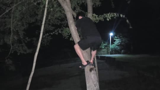 恭喜陌白哥荣升帝皇