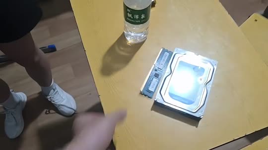 神奇宝贝寻宝