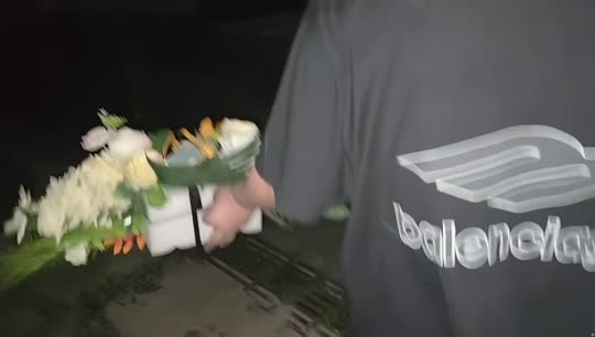 神奇宝贝寻宝