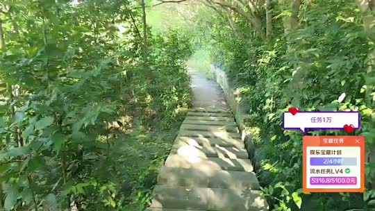 欢迎来到我的直播间
