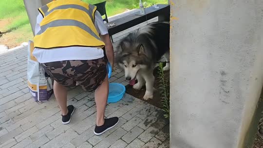 庄园开荒