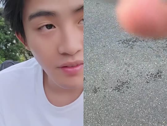 童话小镇鱼塘主