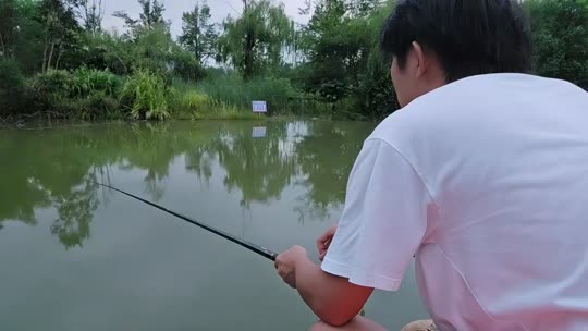 童话小镇鱼塘主