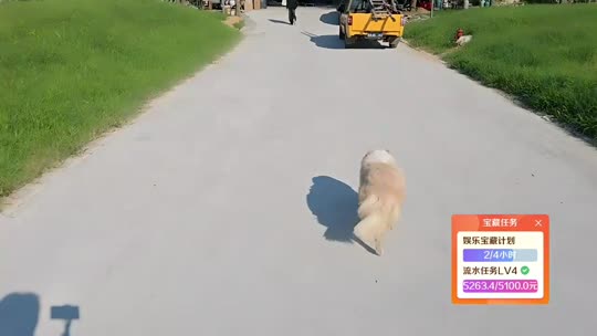 直播了