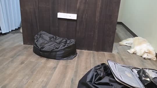 早上好
