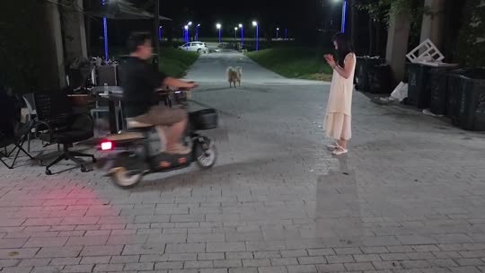 早上好