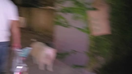 你好