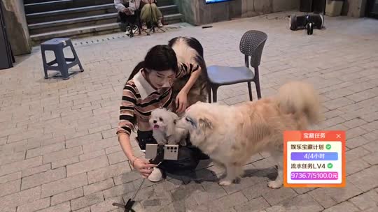 早上好
