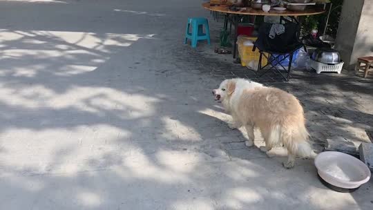 早上好