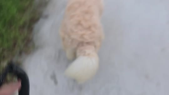 童话小镇日常