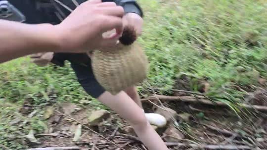 童话小镇跑步1刀一米