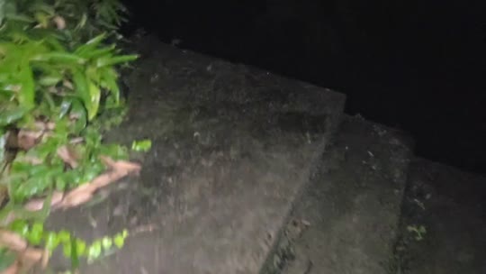 早上好