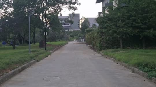 早上好