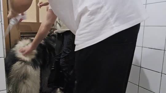 早上好