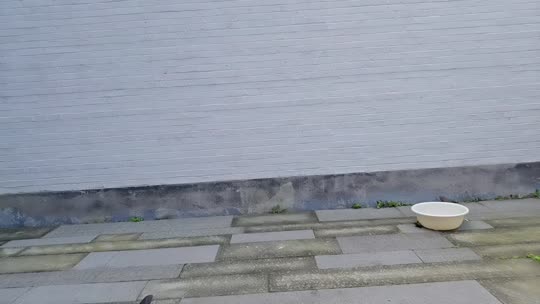 早上好