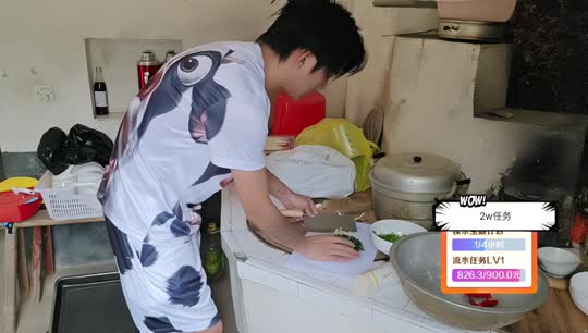 新人变形计2w流水