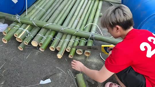 798交换生zkl园区