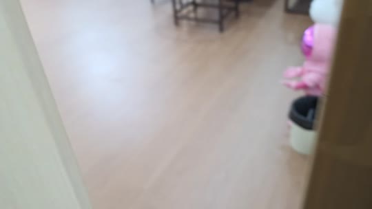 泼水大战重庆zkl 蓝莓