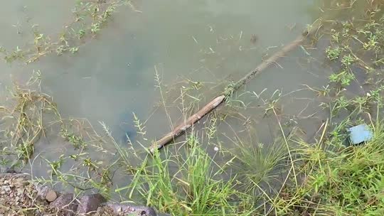 童话小镇