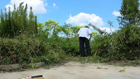 童话小镇