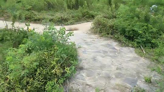 童话小镇