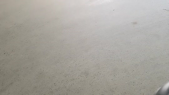 童话小镇 蓝莓