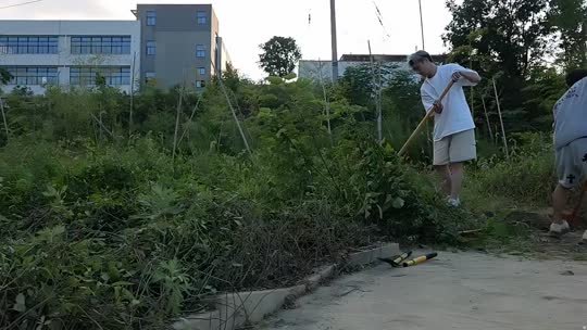 童话小镇 蓝莓