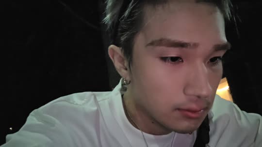 童话小镇 蓝莓