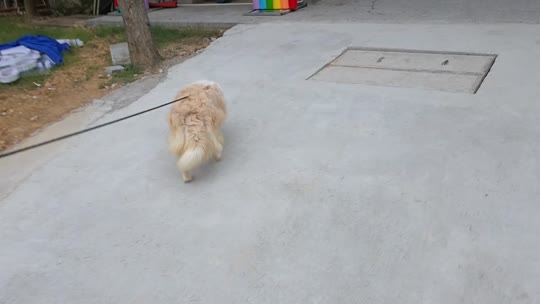 童话小镇