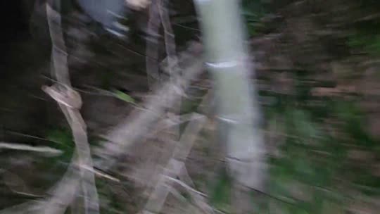 童话小镇