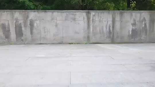 白白白