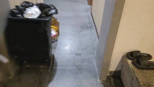 白的雅皮