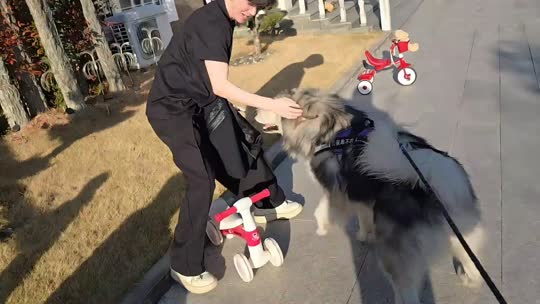 日常